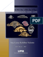 Diagnostic Amaging of The Loggerhead Sea Tuttle - Caretta Careta