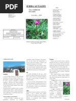 Visita de Estudo - Talefe