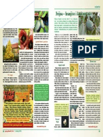 Fijoa I Asimina PDF