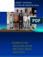 Pembuatan Apusan