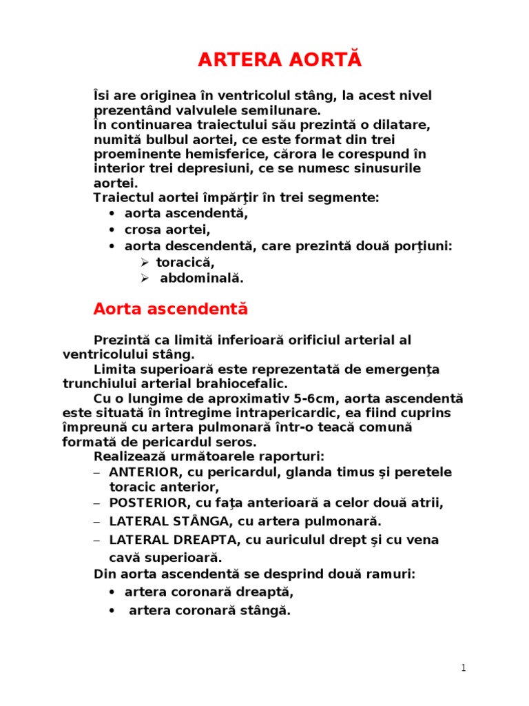 Artera Aorta | PDF