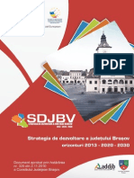 Strategia de Dezvoltare a Judetului Brasov Orizonturi 2013-2020-2030