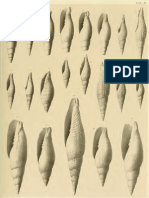 I Molluschi Dei Terreni Terziari Del Piemonte e Della Liguria L. Bellardi, 1887 - PARTE 5 - Paleontologia Malacologia - Conchiglie Fossili Del Pliocene e Pleistocene