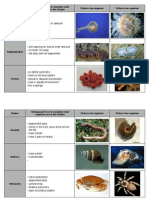 Phyla Summary Chart