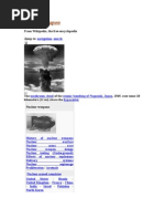 Download Nuclear Weapon by manoj kumar rout SN17686201 doc pdf