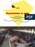 Mycotoxicosis in Swine