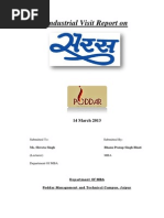 Download Saras Industrial Visit Report by Badr Aldin SN176875975 doc pdf