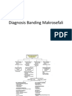 Diagnosis Banding Makrosefali