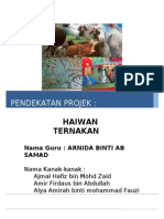 Haiwan Jinak Pendekatan Projek Arnida-edit