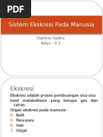Download Sistem Ekskresi Pada Manusia Biologi by Clarines Sadira SN17689962 doc pdf