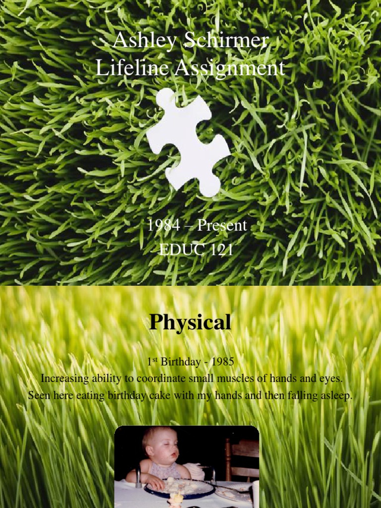 Lifeline Assignment: Personal Growth Timeline | PDF