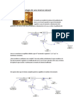 Ecología de Una Reserva Natural