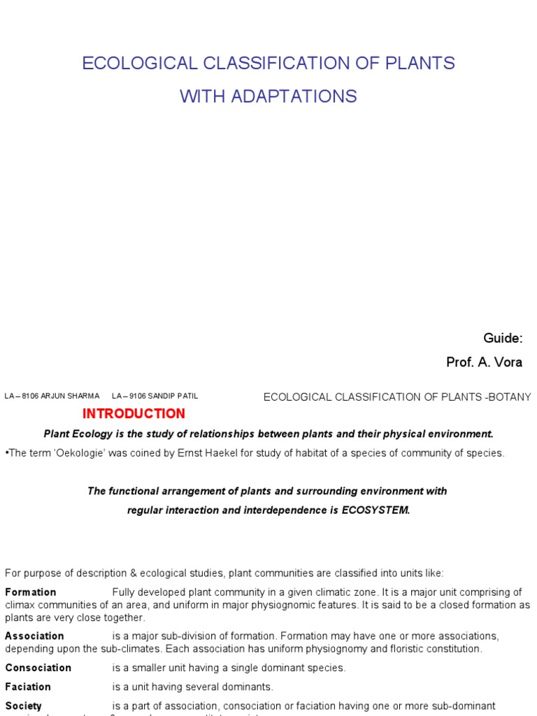 Adaptations of Plants | PDF | Leaf | Plants