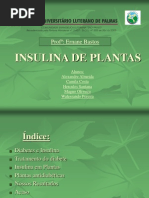 Insulina de Plantas_oficial 2ppt