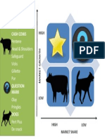 BCG Matrix of PnG