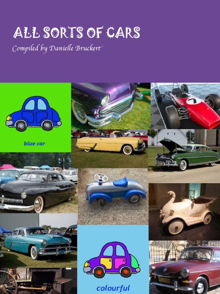 All Sorts of Cars | PDF | Business | Travel
