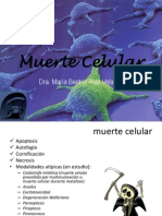 Muerte Celular