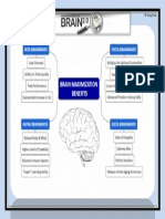 Brain Maximization Map