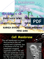 The Plasma Membrane and Cell Wall (Team 4)