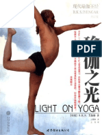 瑜伽之光（艾扬格）中文版