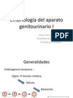 Embriología Del Aparato Genitourinario I