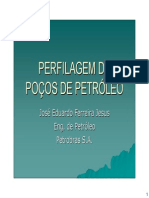 PERFILAGEM_DE_POÇOS_DE_PETRÓLEO