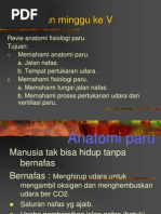 Download anatomi fisiologi paru by melissa erjani muchir SN177062101 doc pdf