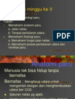 Anatomi Fisiologi Paru