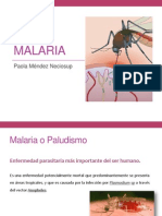 Malaria causas síntomas diagnóstico tratamiento