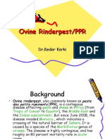 Ovine-RinderpestPPR
