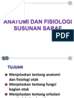 Anatomi Dan Fisiologi SSP