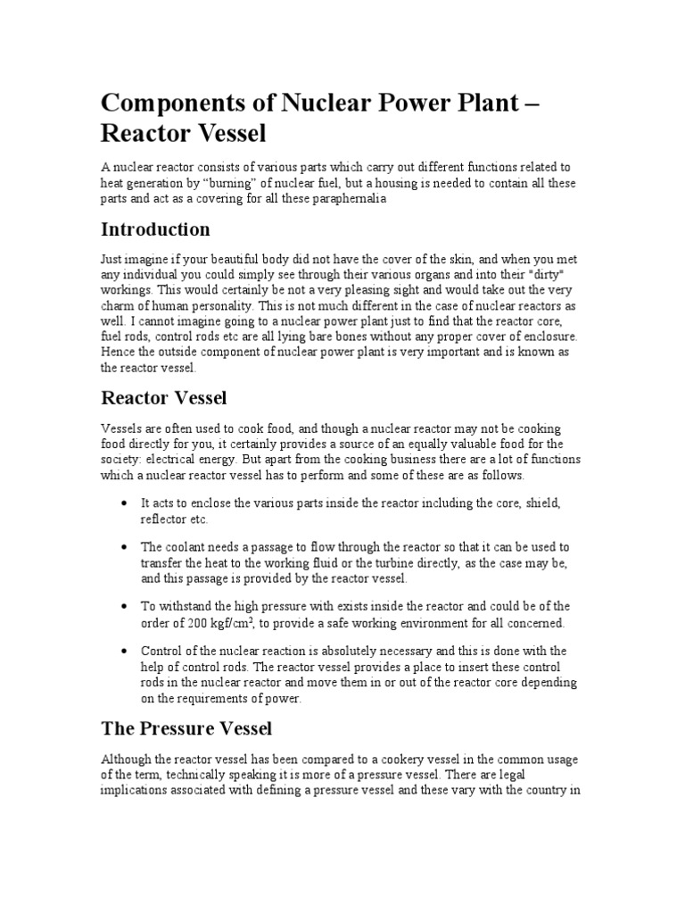 Key Components of Nuclear Power Plants | PDF | Nuclear Reactor ...