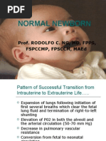 Download Normal Newborn by janetwillams SN17709472 doc pdf
