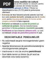 CURS 10 Antibiotice