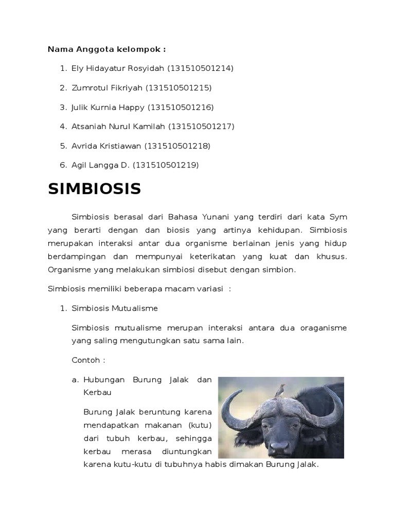 Simbiosis Sinekrosis Unit Ekologi