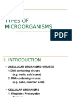 3 Types of Microorg