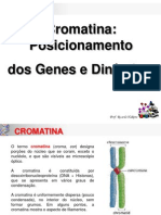 2 Biologia Molecular Cromatina
