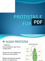 Protista Se Fun Go S