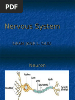 Download Neuro by fhey19 SN17716144 doc pdf