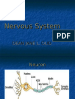 Download Neuro by fhey19 SN17716144 doc pdf