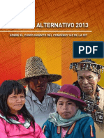 Informe Alternativo 2013 VF