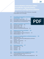 25 - Kommunikation Zwischen Zellen - Extrazelluläre Signalmoleküle, Rezeptoren Und Signaltransduktion