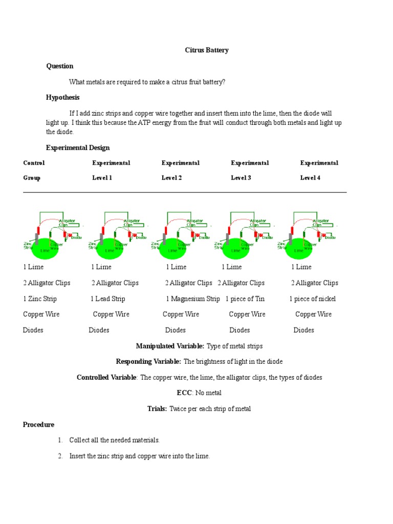 10 Chem Citrus Battery Lab Report PDF Metals Diode