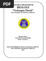 Download Laporan Pengamatan Golongan Darah by Nadya Irena Habib SN177206273 doc pdf