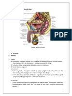 Organ Reproduksi Pria