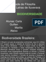 Bio Divers I Dade