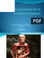 Conceptos Generales de La Anatomía Humana