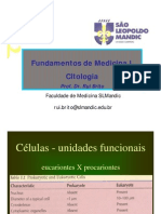 Aula de Organelas - Citoplasma