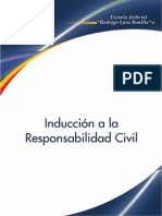 Inducion Al Responsabilidad Civil