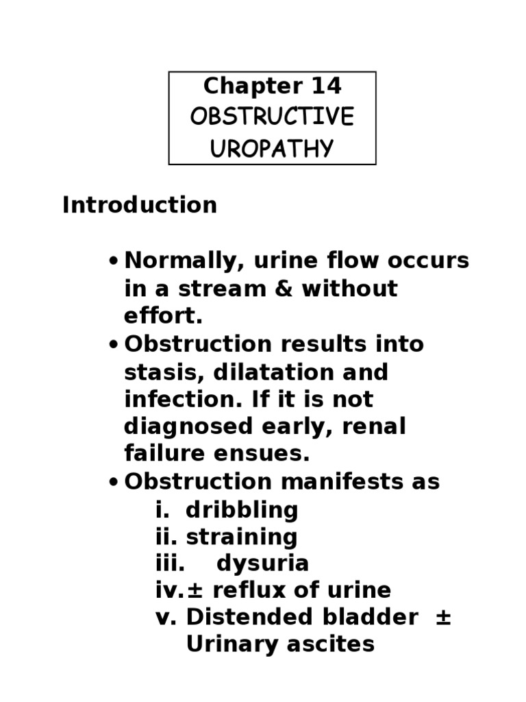obstructive-uropathy-kidney-urinary-system